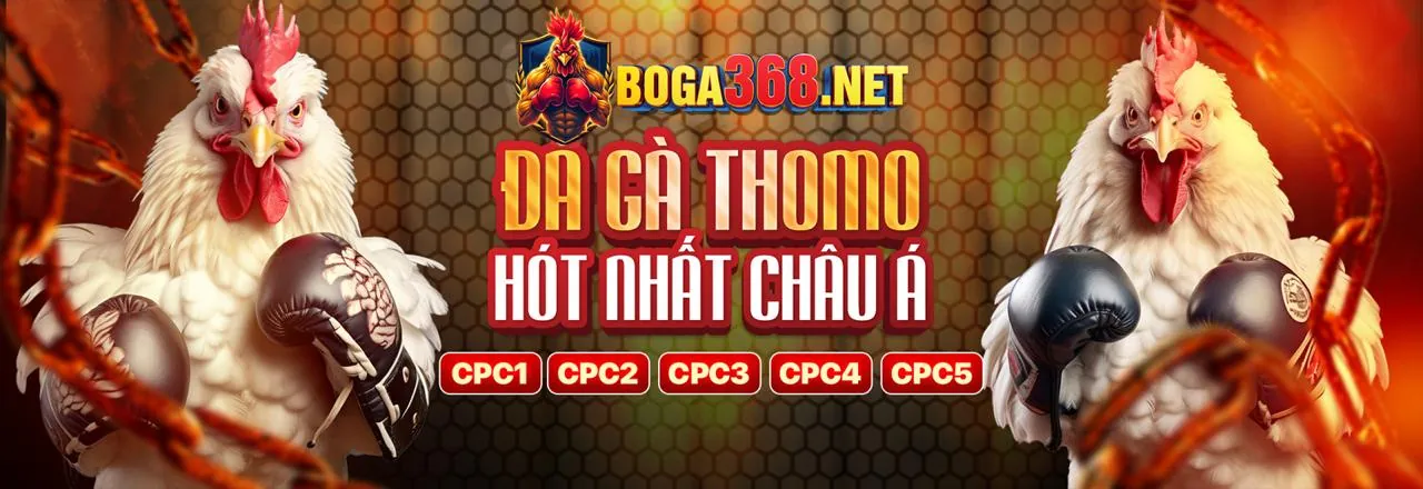 Đá gà trực tuyến VE99 sôi động